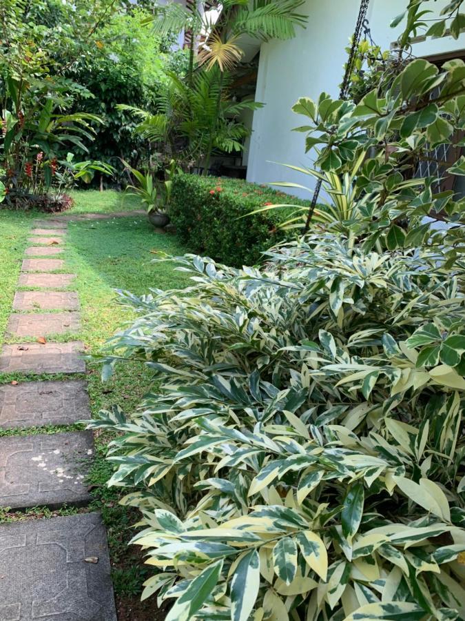 Tranquil Private Villa Near Bentota Beach Εξωτερικό φωτογραφία