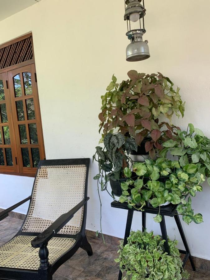 Tranquil Private Villa Near Bentota Beach Εξωτερικό φωτογραφία