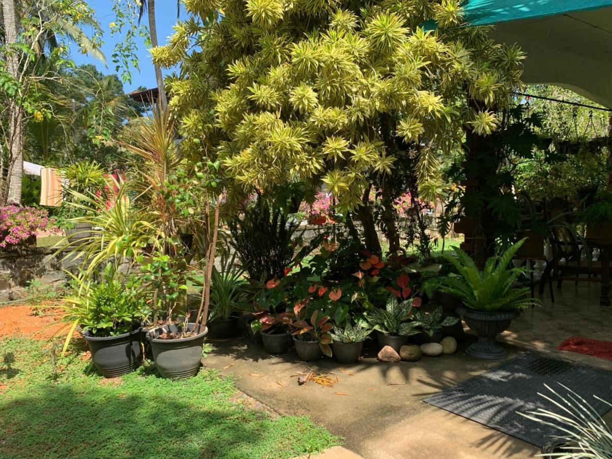 Tranquil Private Villa Near Bentota Beach Εξωτερικό φωτογραφία